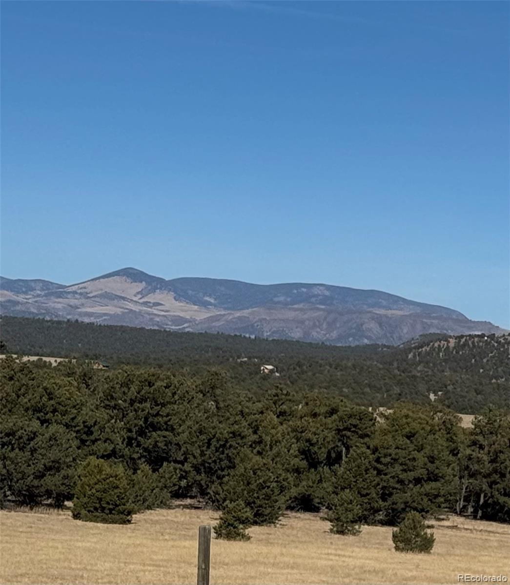 474 Deer Run Drive Cotopaxi CO 81223
