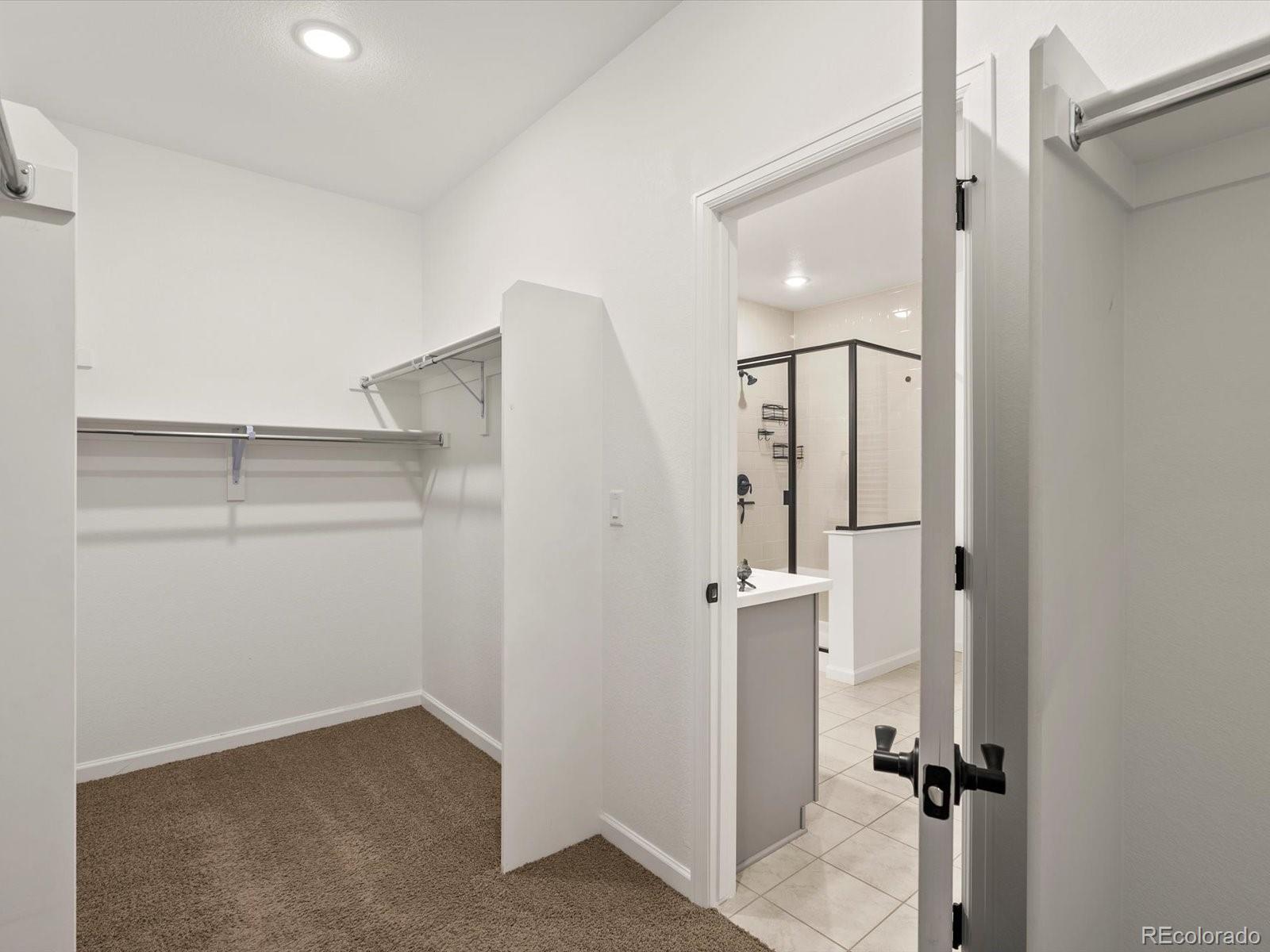 3044 Bivouac Point Castle Rock CO 80108