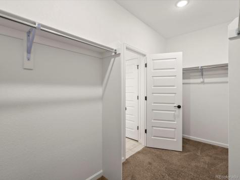3044 Bivouac Point Castle Rock CO 80108