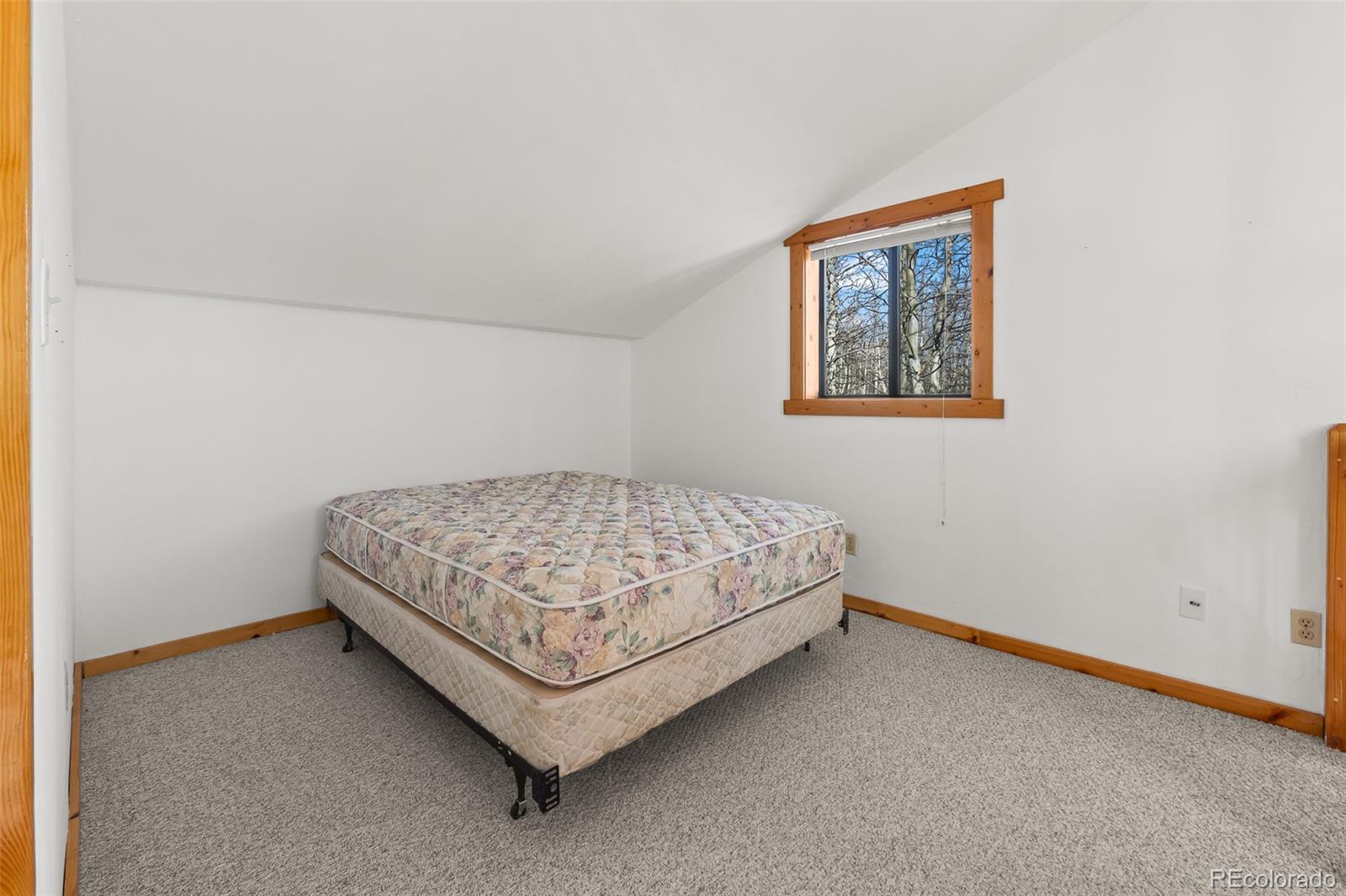 1793 Michigan Hill Road Jefferson CO 80456