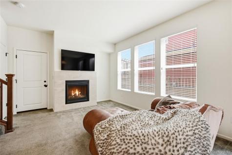 3594 Happyheart Way Castle Rock CO 80109