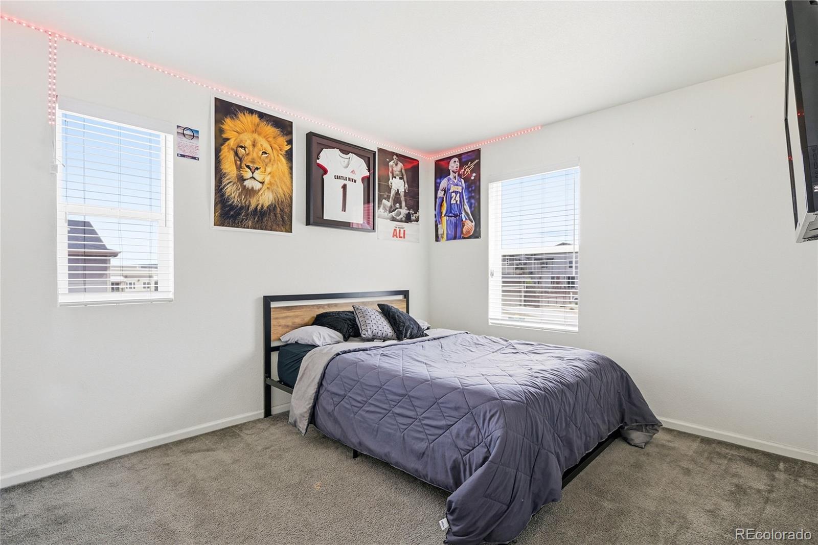 3594 Happyheart Way Castle Rock CO 80109