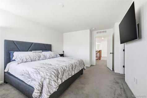 3594 Happyheart Way Castle Rock CO 80109
