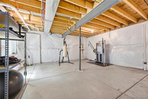 3594 Happyheart Way Castle Rock CO 80109