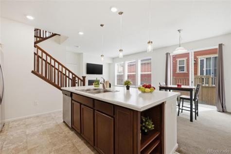 3594 Happyheart Way Castle Rock CO 80109