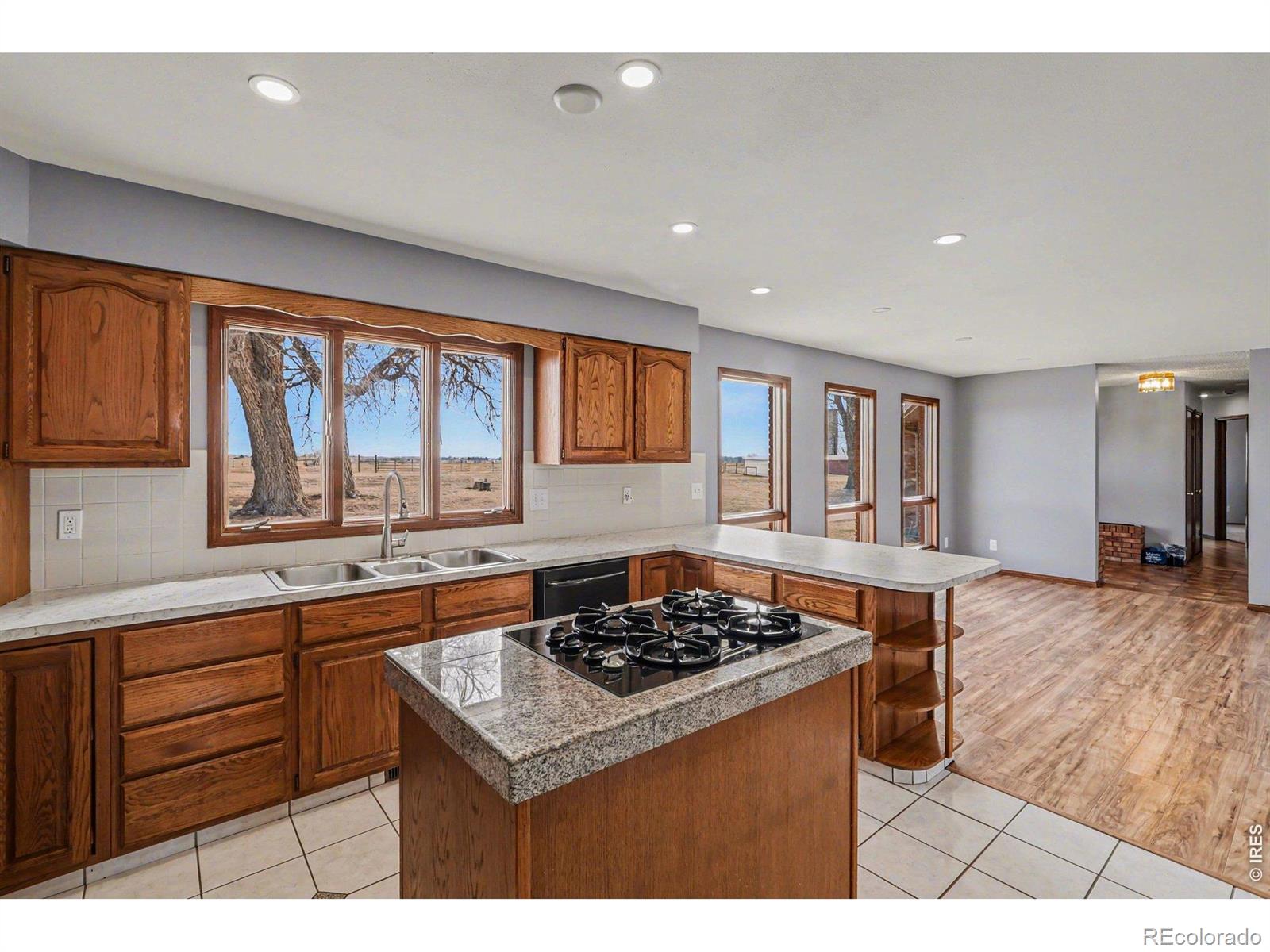 13168 N 95th Street Longmont CO 80504