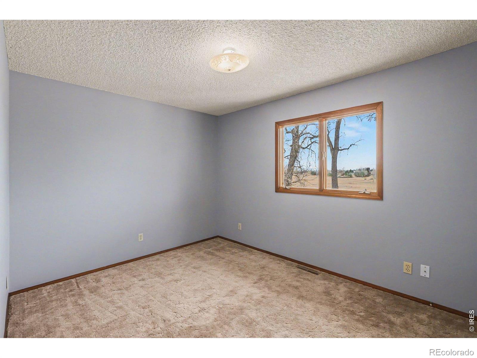 13168 N 95th Street Longmont CO 80504
