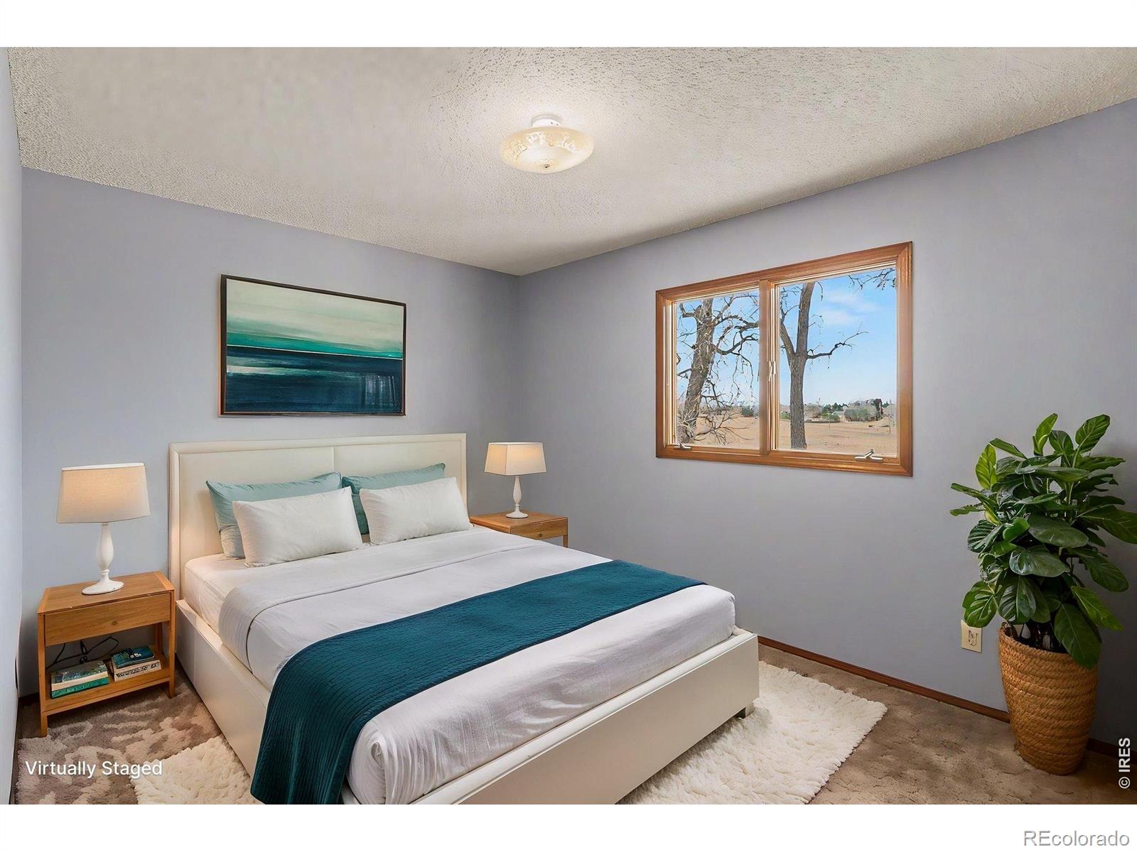 13168 N 95th Street Longmont CO 80504