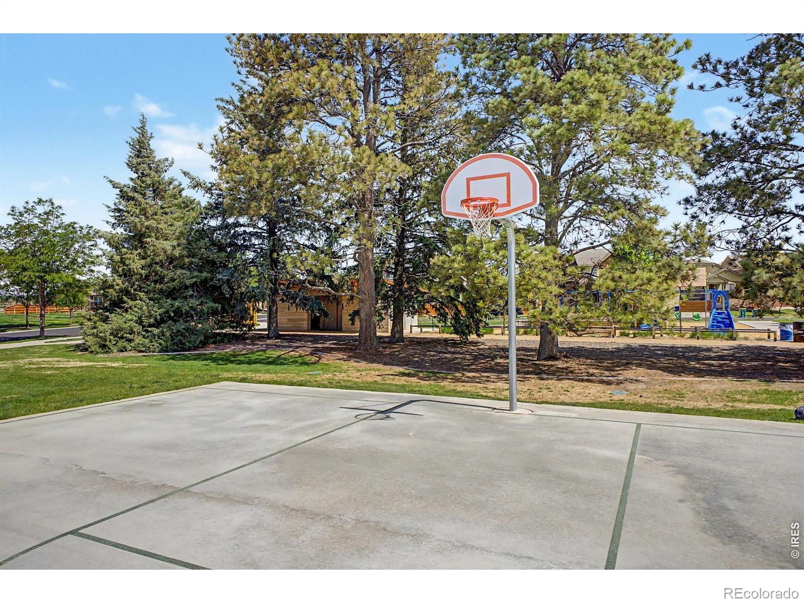 3451 Yule Trail Drive Fort Collins CO 80524