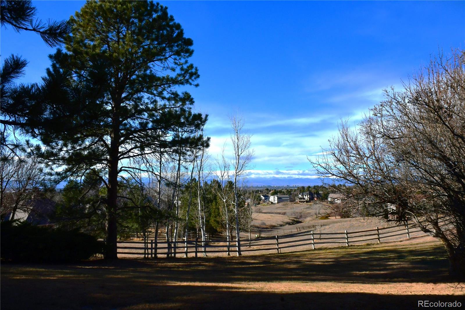 7591 S Ensenada Court Centennial CO 80016