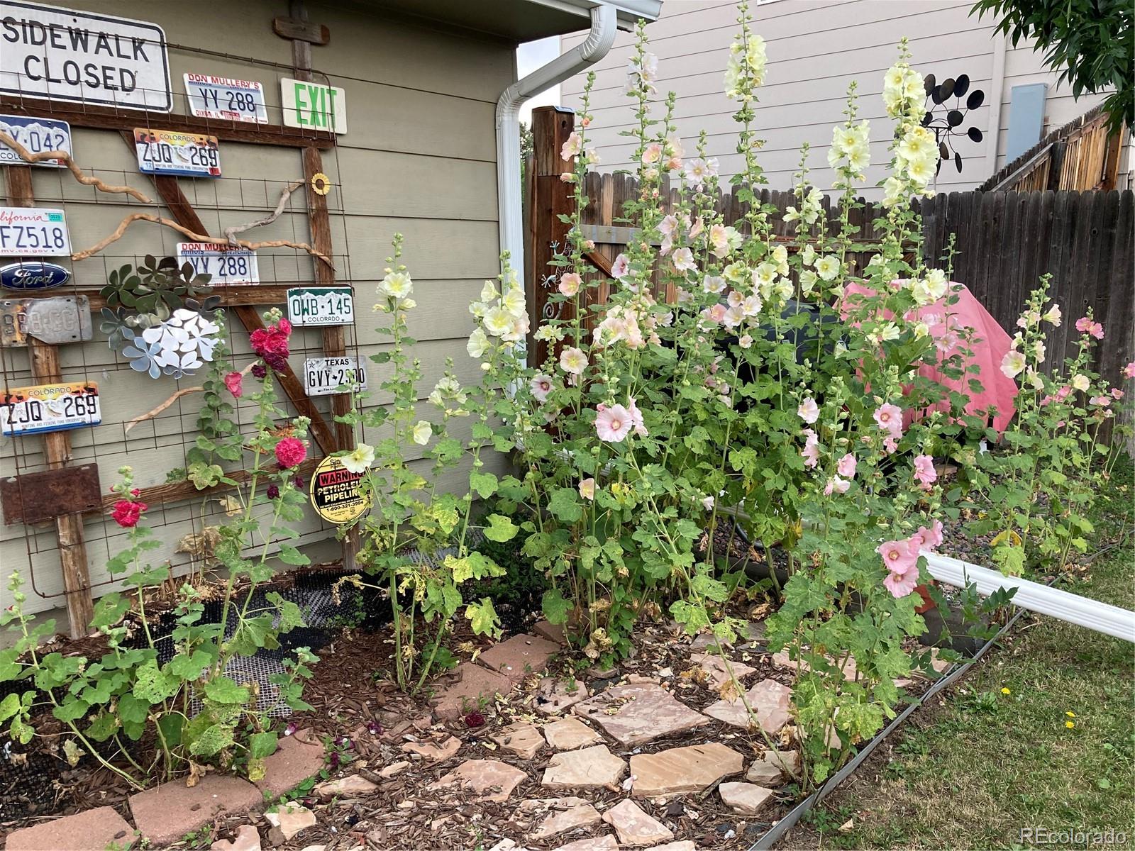 11447 Brownstone Drive Parker CO 80138