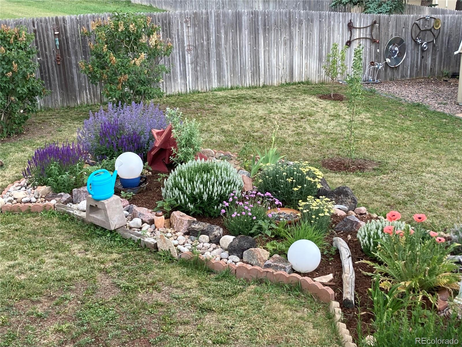 11447 Brownstone Drive Parker CO 80138