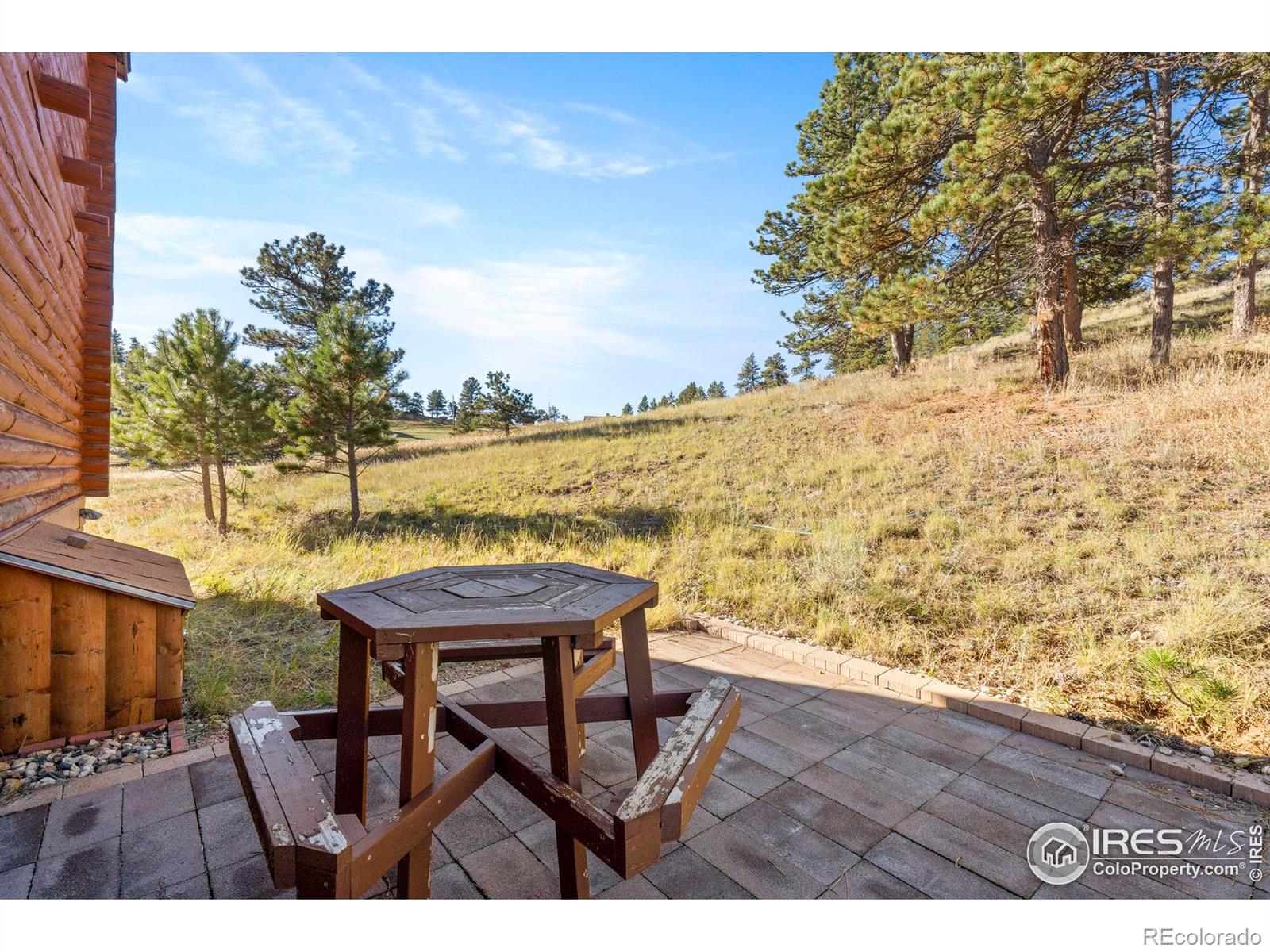 487 Laplata Drive Livermore CO 80536