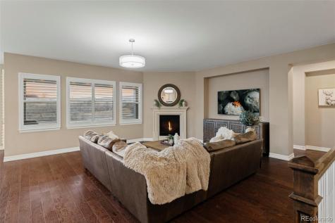14756 Estonian Avenue Parker CO 80134