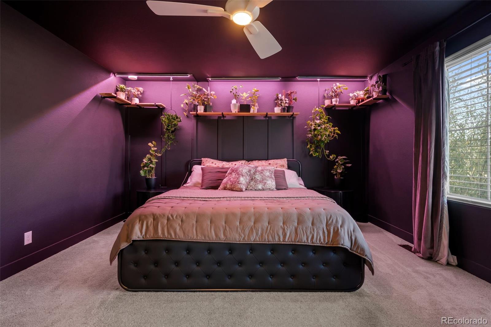 22245 E 45th Avenue Aurora CO 80019