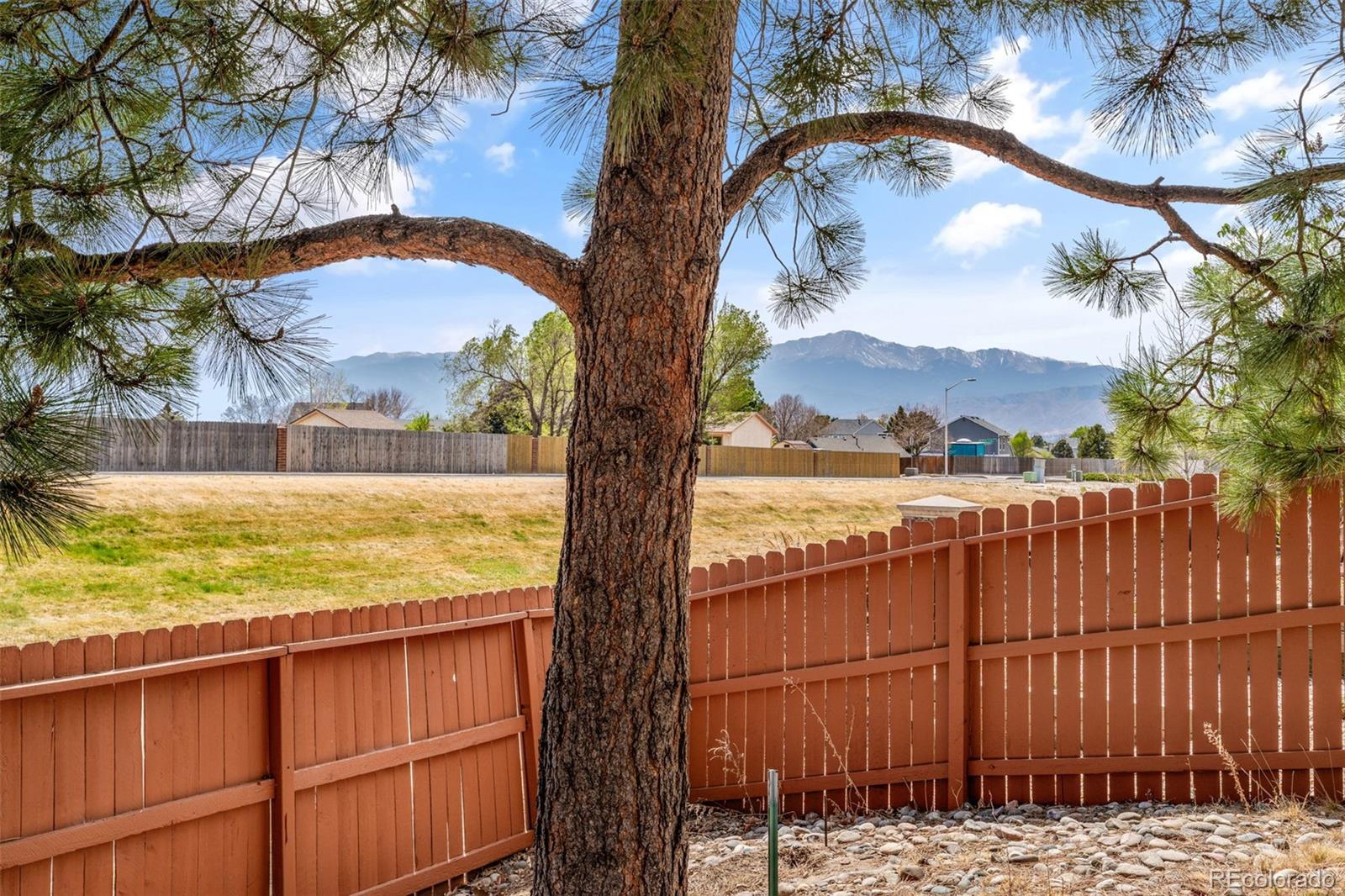 8049 Cooper River Drive Colorado Springs CO 80920