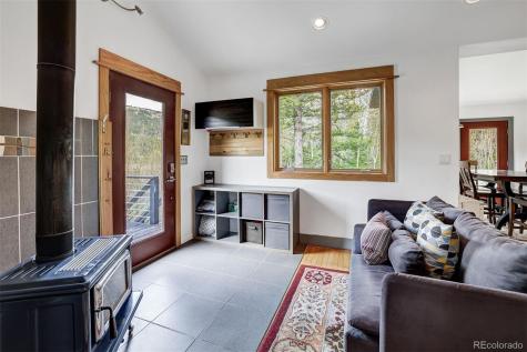 3049 Cr-6 Alma CO 80440