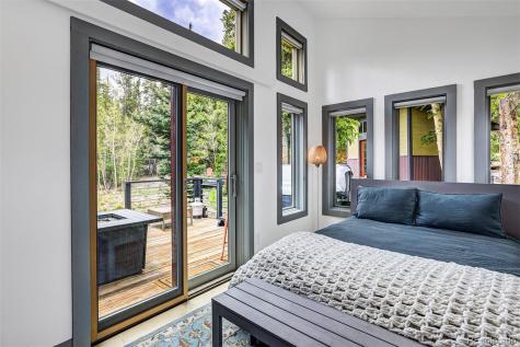 3049 Cr-6 Alma CO 80440