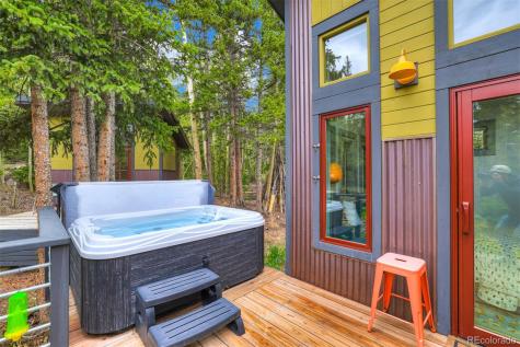 3049 Cr-6 Alma CO 80440