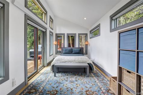 3049 Cr-6 Alma CO 80440