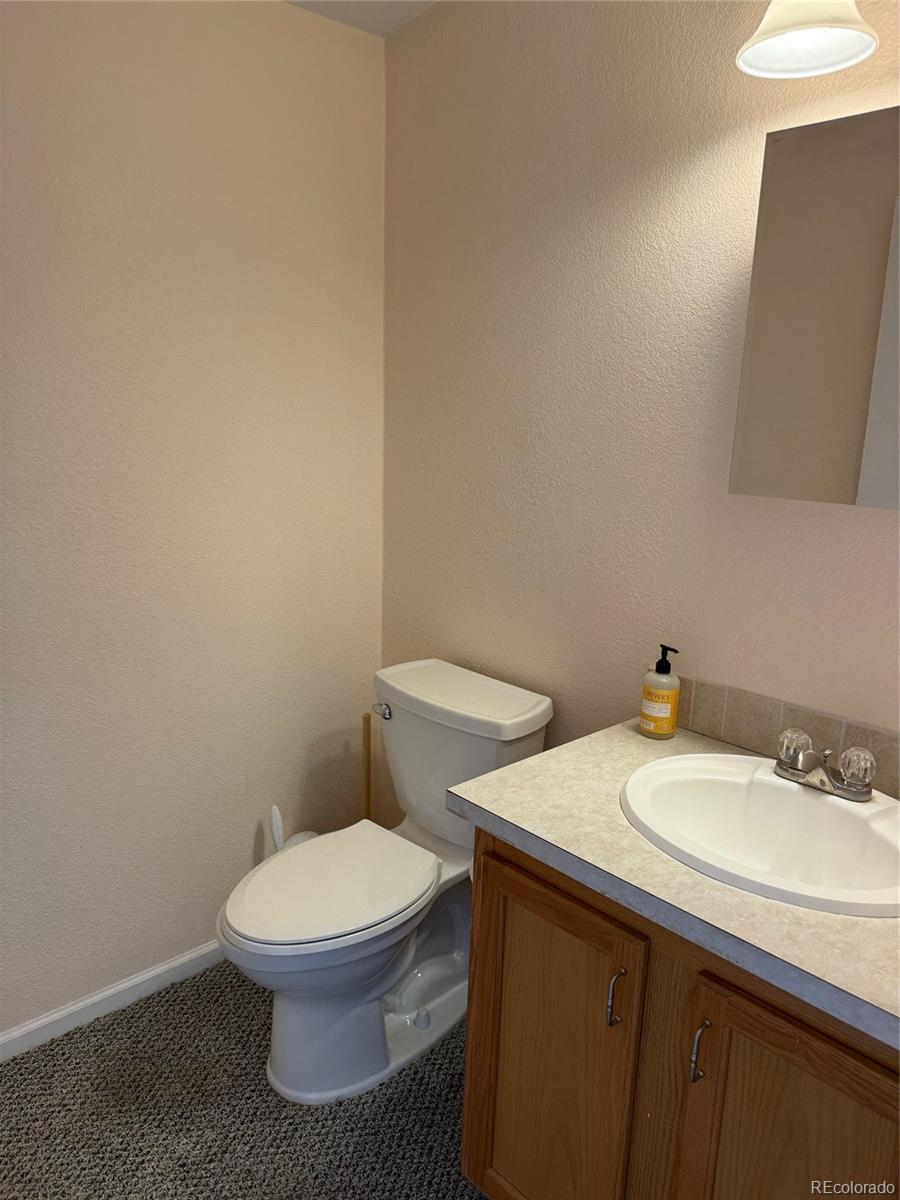 27665 County Road 313 Buena Vista CO 81211