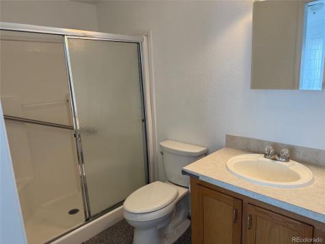 27665 County Road 313 Buena Vista CO 81211