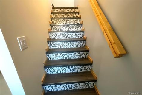 451 Ee Hill Drive Twin Lakes CO 81251