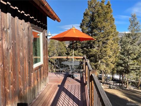 451 Ee Hill Drive Twin Lakes CO 81251