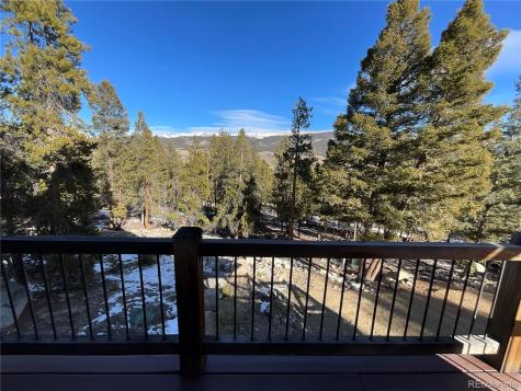 451 Ee Hill Drive Twin Lakes CO 81251