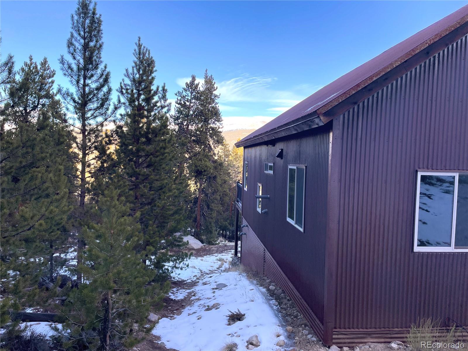 451 Ee Hill Drive Twin Lakes CO 81251