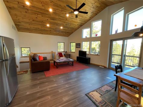 451 Ee Hill Drive Twin Lakes CO 81251