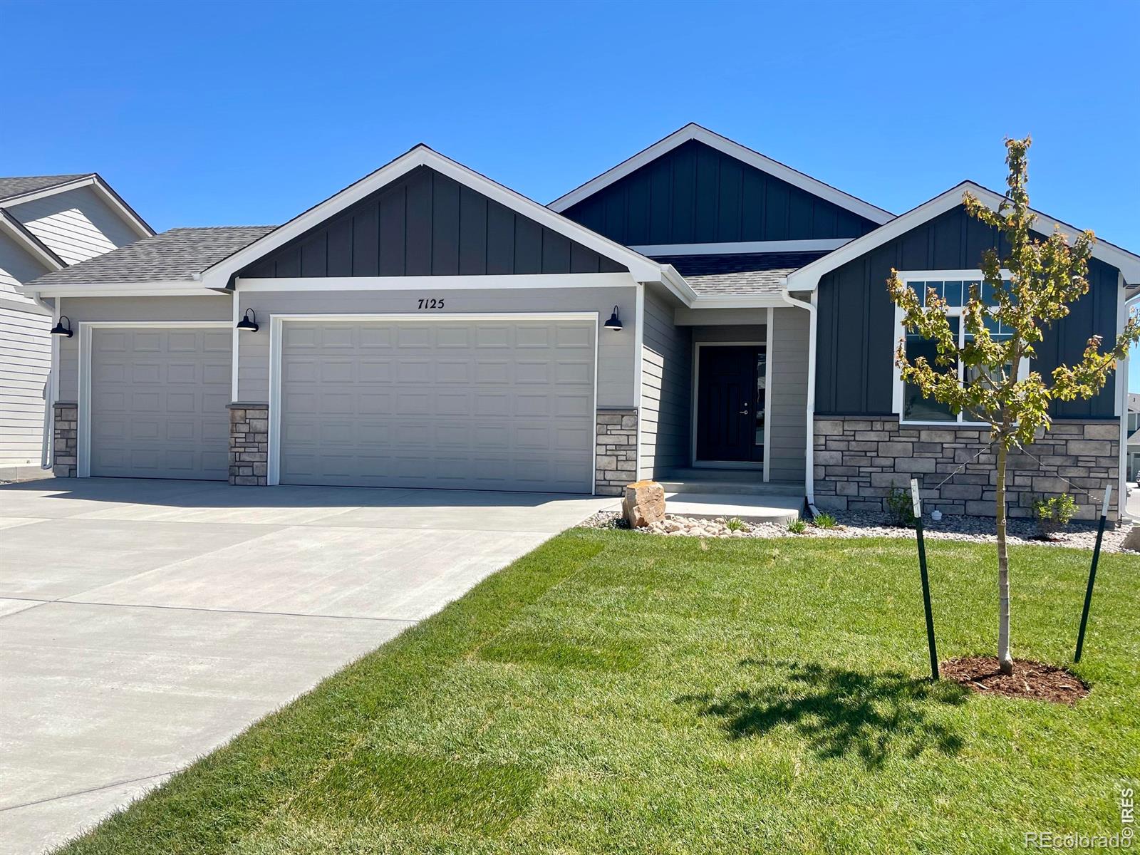 7125 Feather Reed Drive Wellington CO 80549