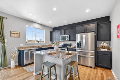 2827 Deerfoot Way Castle Rock CO 80109