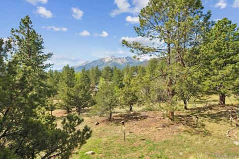 18220 Alta Vista Drive Buena Vista CO 81211