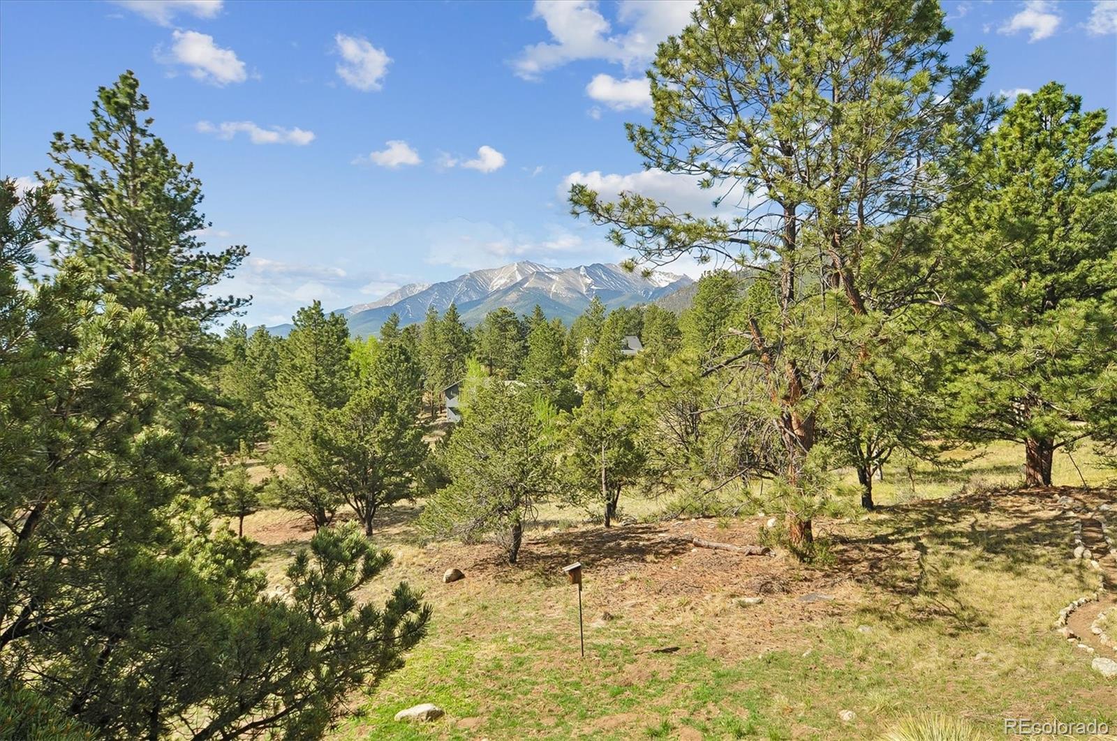 18220 Alta Vista Drive Buena Vista CO 81211