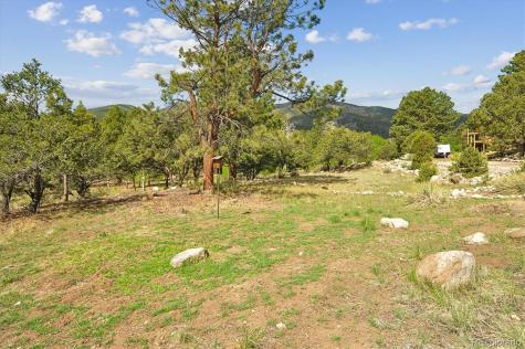 18220 Alta Vista Drive Buena Vista CO 81211