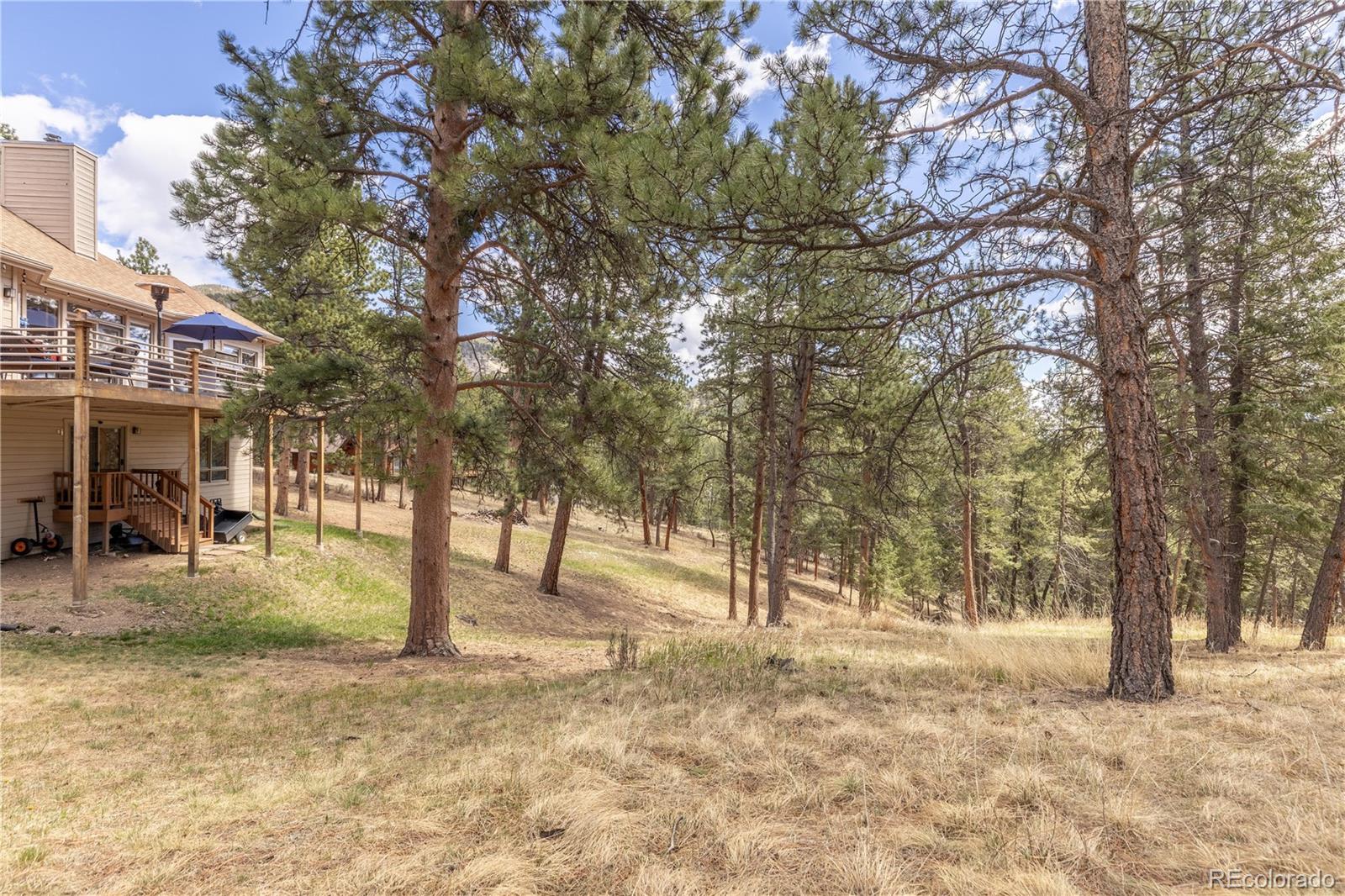 302 Cottonwood Drive Evergreen CO 80439