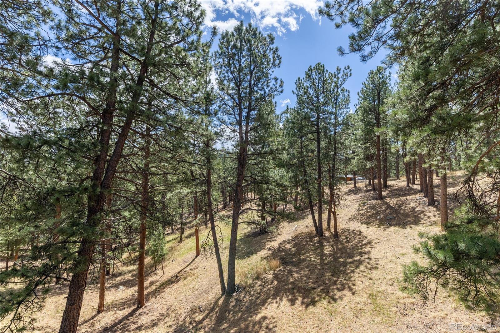 302 Cottonwood Drive Evergreen CO 80439