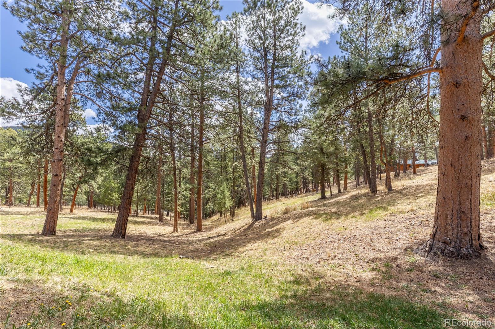 302 Cottonwood Drive Evergreen CO 80439