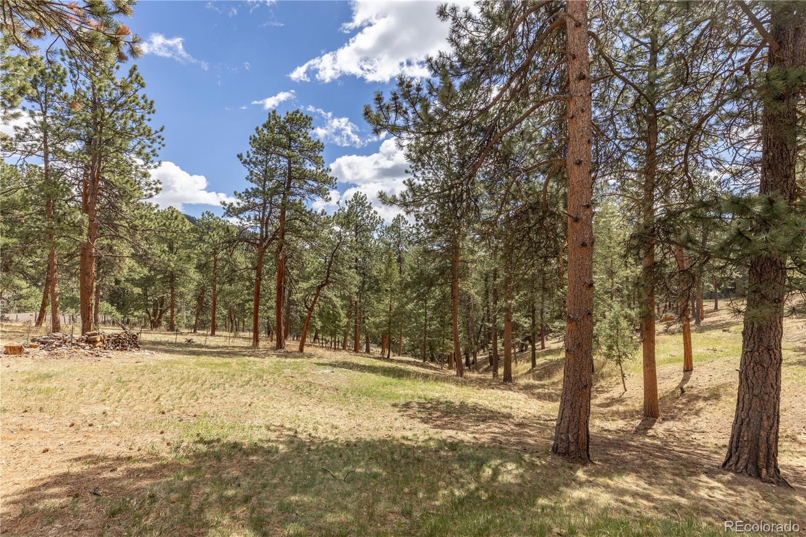 302 Cottonwood Drive Evergreen CO 80439