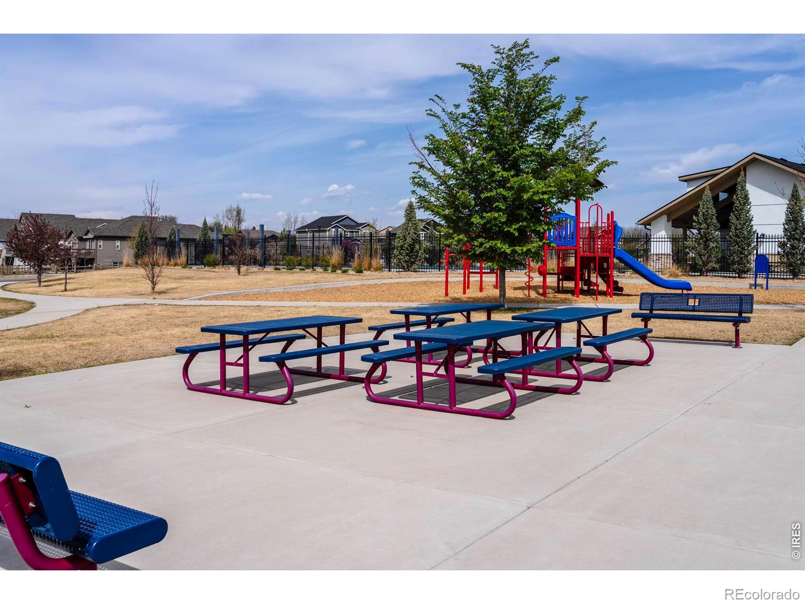 295 Gray Jay Court Berthoud CO 80513