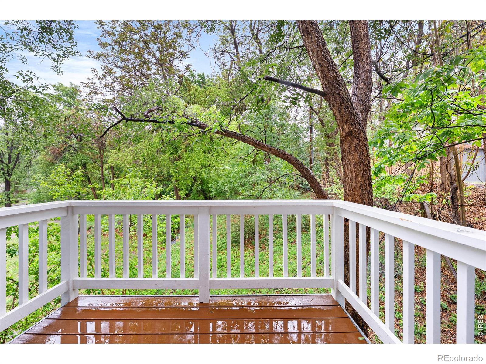 553 Pearl Street Boulder CO 80302