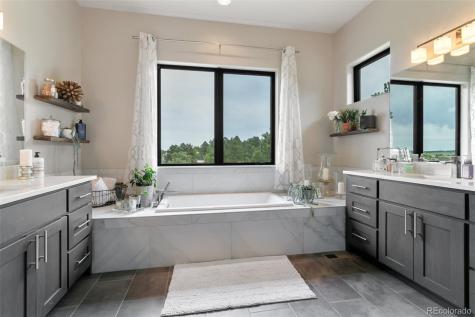 843 Long Timber Lane Monument CO 80132