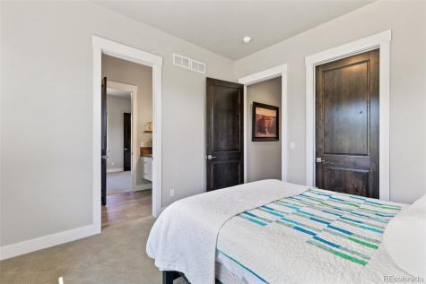 843 Long Timber Lane Monument CO 80132