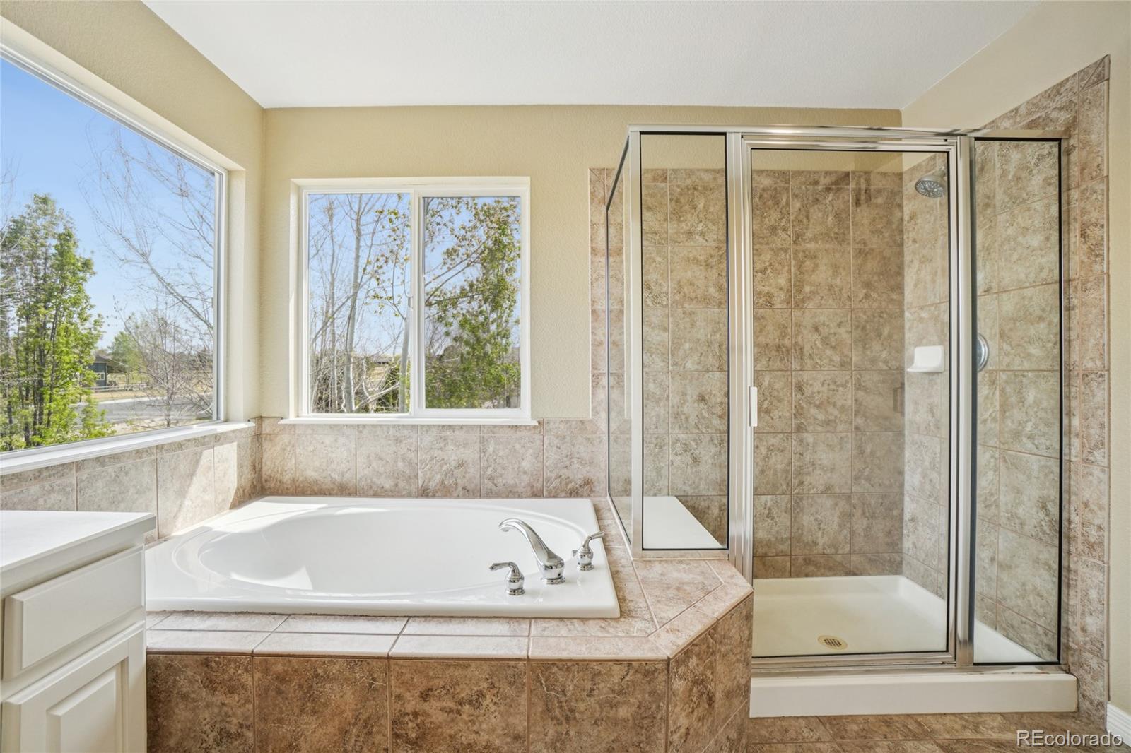 8110 Northstar Drive Windsor CO 80528