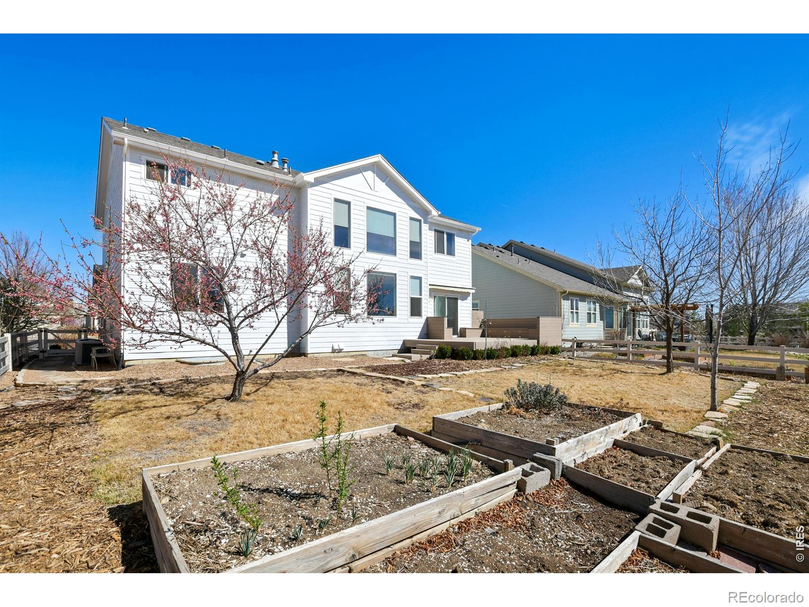 3242 Sedgwick Circle Loveland CO 80538