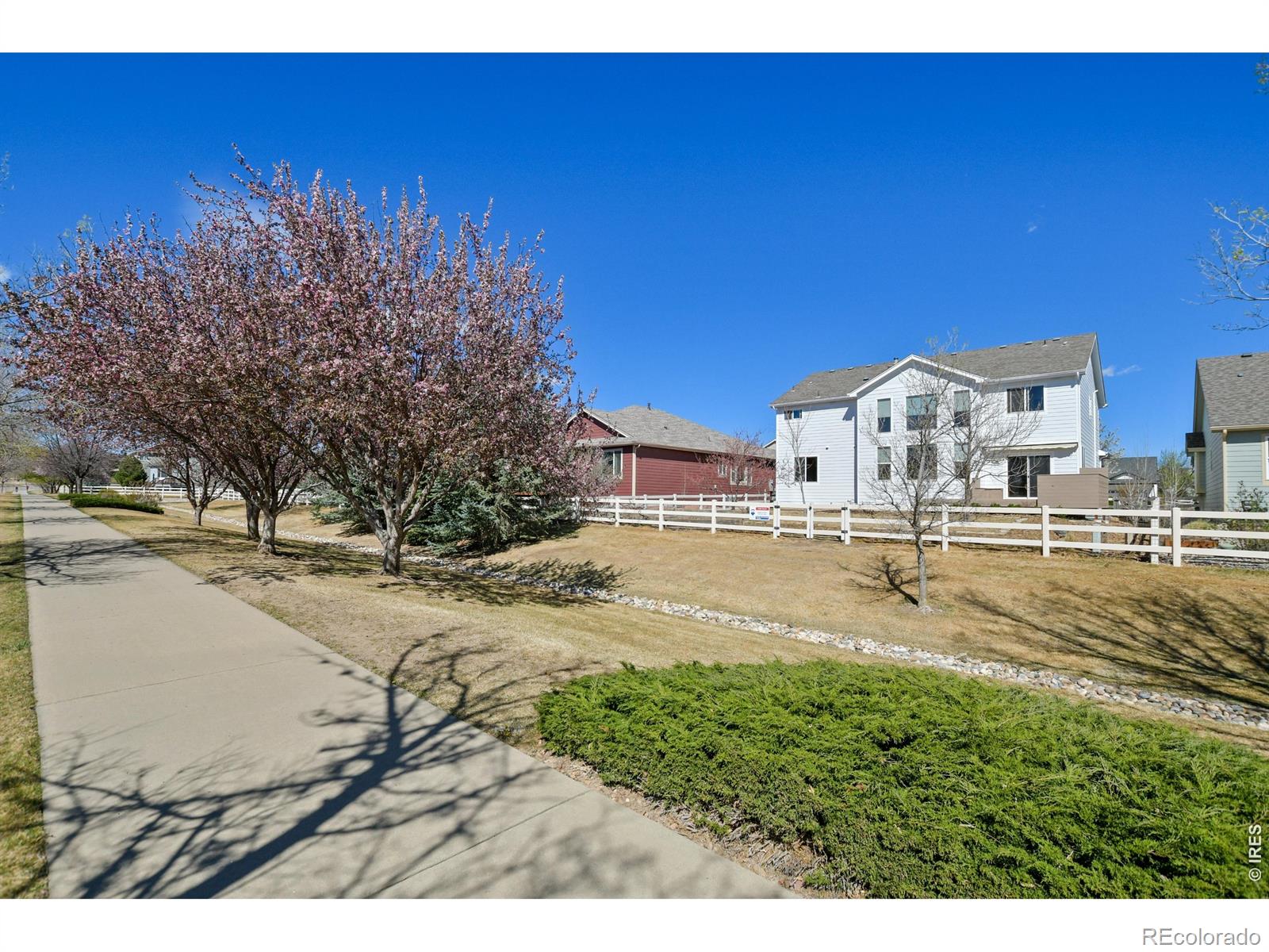 3242 Sedgwick Circle Loveland CO 80538