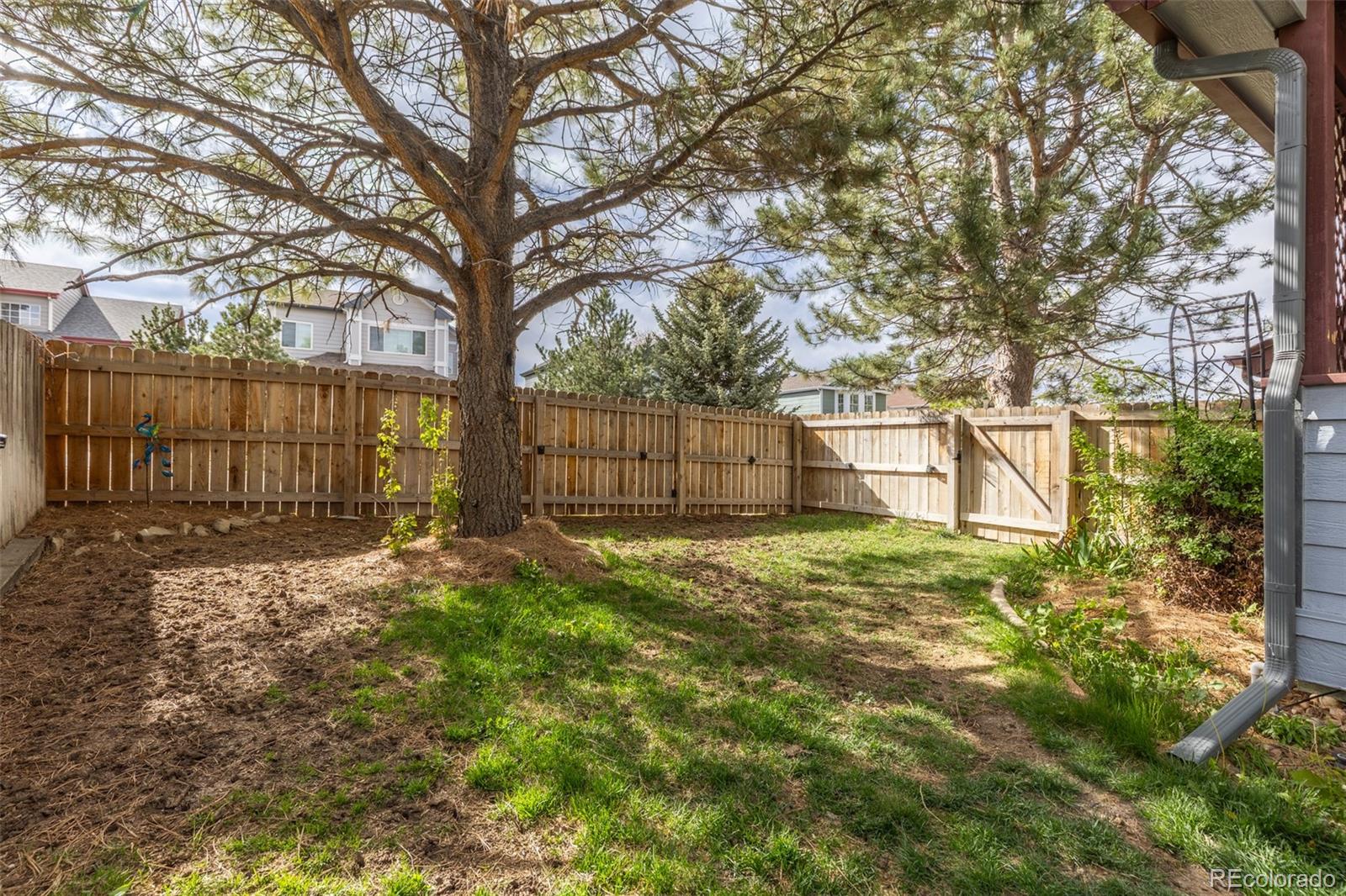 17002 Walsh Avenue Parker CO 80134