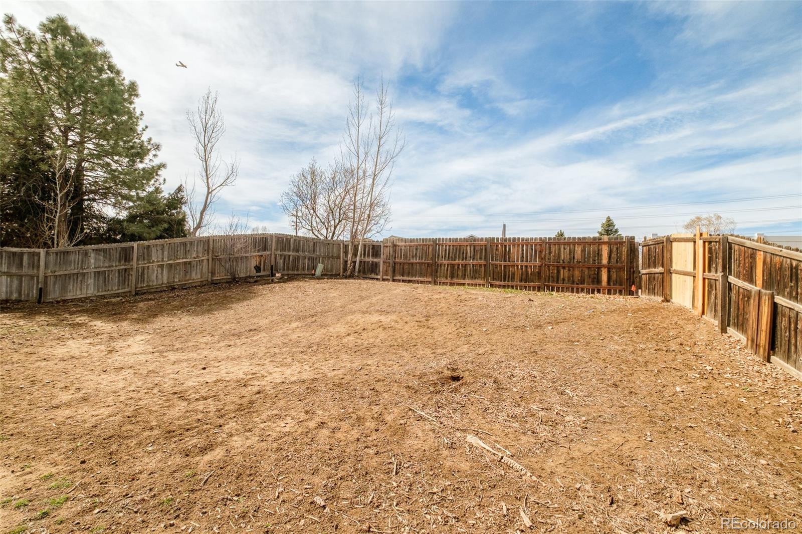 16655 Ninebark Way Parker CO 80134