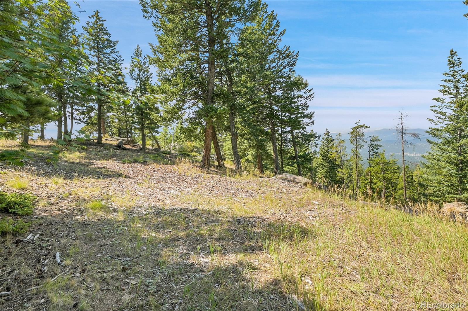 25187 Stanley Park Road Evergreen CO 80439